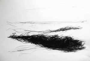 Journans, 2014, 40x50, fusain, Christine Lévy-Rostagnatok