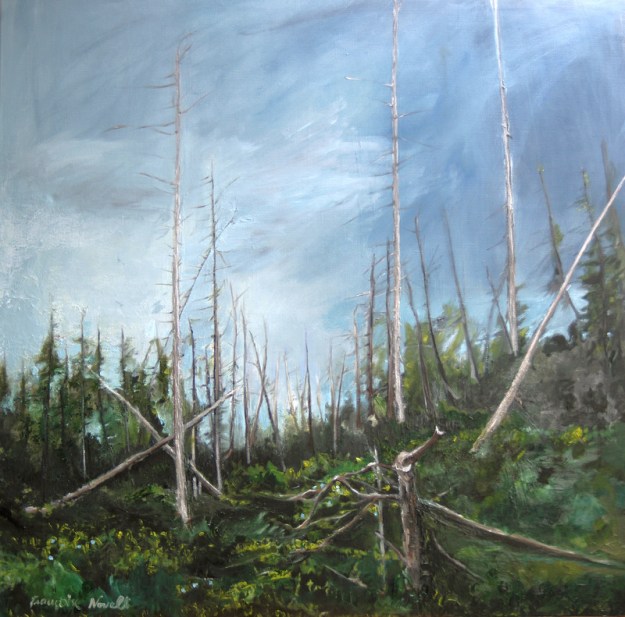 Ile de Bonaventure 120x120