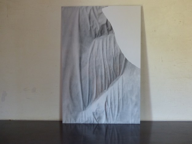 alaindumenieualus (2)