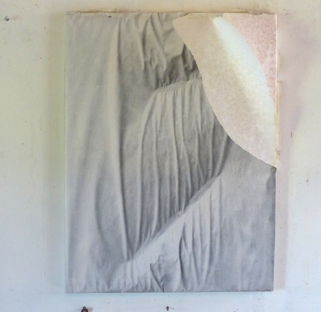 plipouralubagotavant